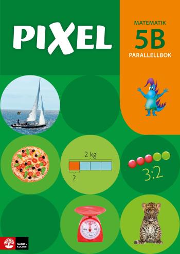 Pixel 5b Parallellbok, Andra Upplagan