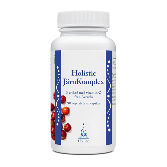 Holistic JärnKomplex 90 kapslar