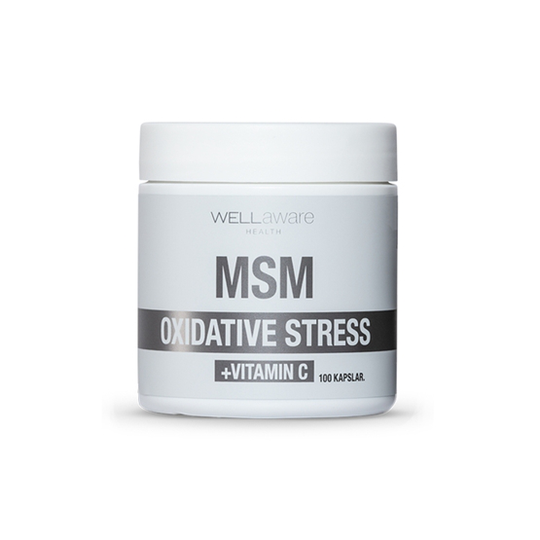 WellAware Health MSM + Vitamin C 100 kapslar
