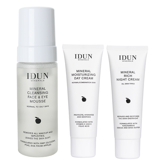 IDUN Minerals Moisturizing Kit Normal skin