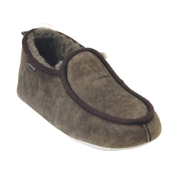 Shepherd Malte