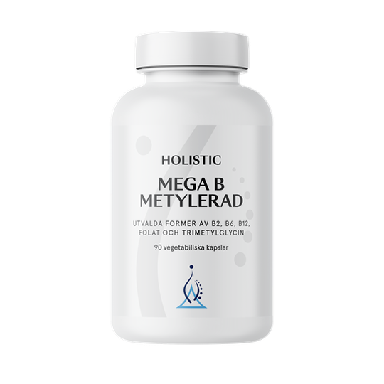 Holistic Mega B Metylerad 90 kapslar