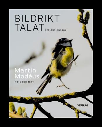 Bildrikt Talat - Reflektionsbok