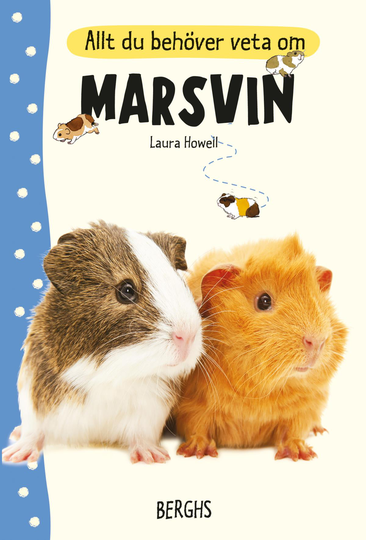 Allt Du Behöver Veta Om Marsvin