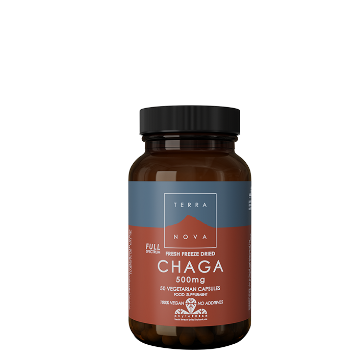 Chaga 500 mg, 50 kaps