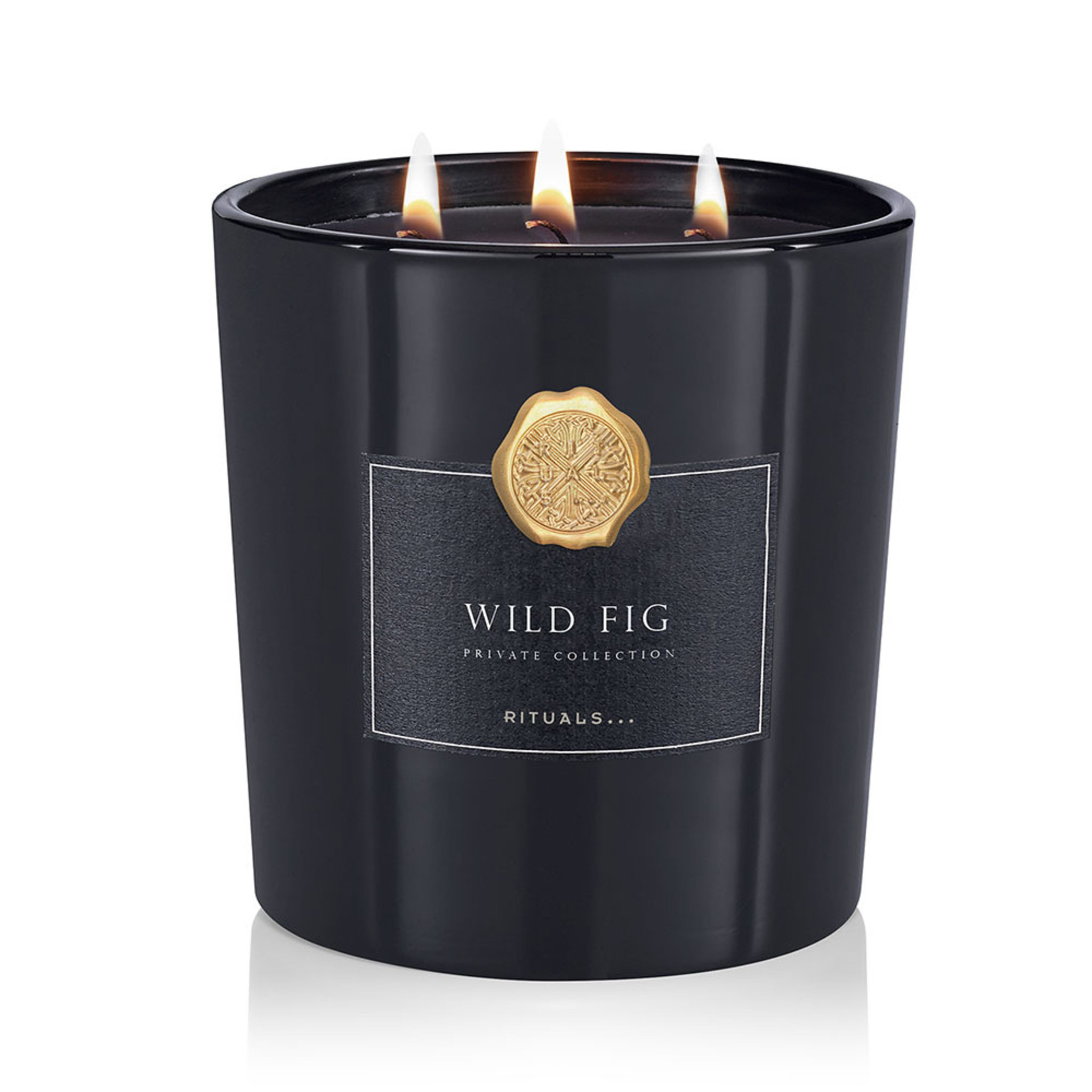 Wild Fig Doftljus XL