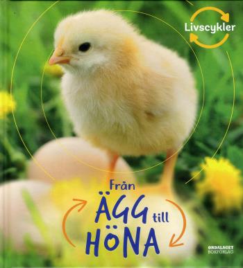 Från Ägg Till Höna