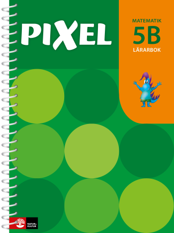 Pixel 5b Lärarbok, Andra Upplagan